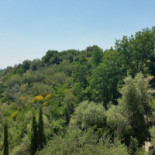 L'oliveto Extérieur