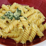 Cibo Comida