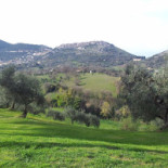 Il Ciuchino Exterior