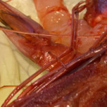 Il Passaggio Specialità Pesce Boisson