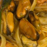 New Fiilling Comida