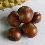 Bolina Nourriture