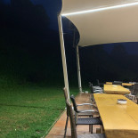 Papillo