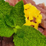 Antico Bottaio Comida