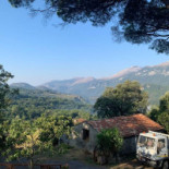 Alla Quiete Del Vecchio Pino Exterior