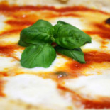 Pizzaudace