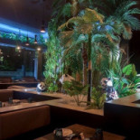 Alpha Sushi À l'intérieur