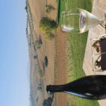Podere Bianchi Boisson