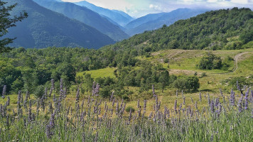Agriturismo La Fontana Dell'olmo outside