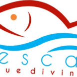 Hamerica's Logo