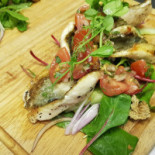 Bloom Cibo