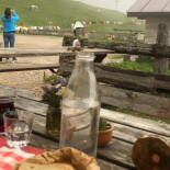 Malga Tuena Bebida