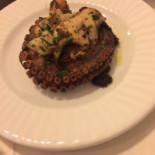 95 Cibo