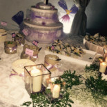 L'orchidea Boisson