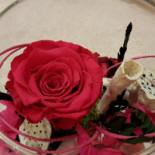 Primavera drink