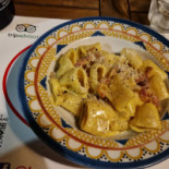 Burro Sugo Comida