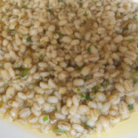 Al Vecjo Traghet Nourriture