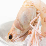 Manakara Comida
