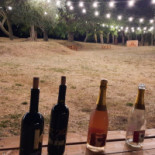 Collina Dei Poeti drink