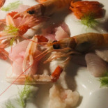 Alex Comida