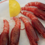 Baja Sardinia Nourriture