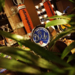Bullybar drink