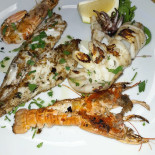 704 Comida