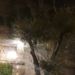 Il Palio Di Taranto Boisson