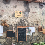 Dalla Pierina. Carte