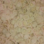 Pastificio Sole Boisson