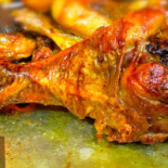 Gallico • Pollo Cucina Comida