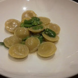 Squilibrio Nourriture