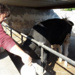 Macelleria Braceria San Foca Boisson