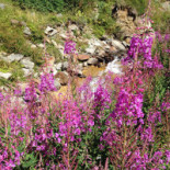 Rifugio Terre Rosse outside