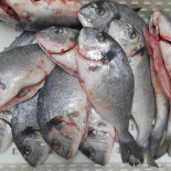 Filippo Cucina Di Mare Pescara Boisson