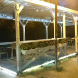 Piadina Alice Exterior