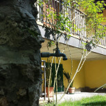 Agriturismo Casa Castellini outside