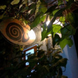 Osteria Del Vicolo Nuovo Da Ambra E Rosa Boisson