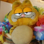 Garfield Boisson