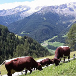 Gasthof Schoenblick outside