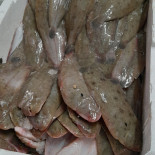 Filippo Cucina Di Mare Pescara Boisson