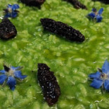 Ripa Relais Nourriture