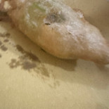 Puccettone Bebida
