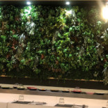 Kailin Sushi À l'intérieur