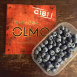 Olmo Carta