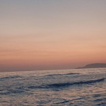 Delfinus Beach Boisson