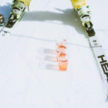 Chalet Caserina Carta