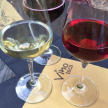 Vinoteca Bebida