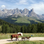 Malga Bocche Extérieur