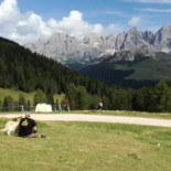 Malga Bocche Extérieur